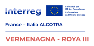 VERMENAGNA-ROYA III Un viaggio nella meraviglia: verso il 2028, il centenario della Cuneo-Ventimiglia-Nizza