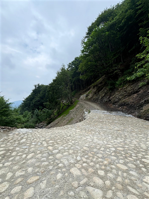 PSR 2014-2020 REGIONE PIEMONTE OPERAZIONE 4.3.4 INFRASTRUTTURE PER L'ACCESSO E LA GESTIONE DELLE RISORSE FORESTALI E PASTORALI